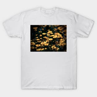 Flower Field T-Shirt